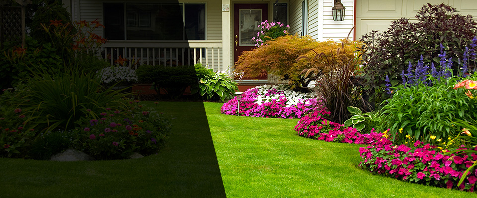 Lake Arrowhead Landscapers