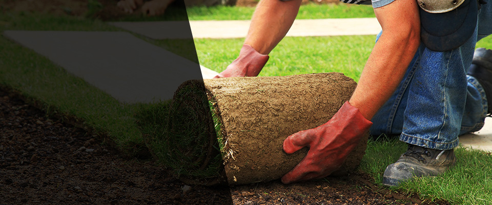 Lake Arrowhead Landscapers